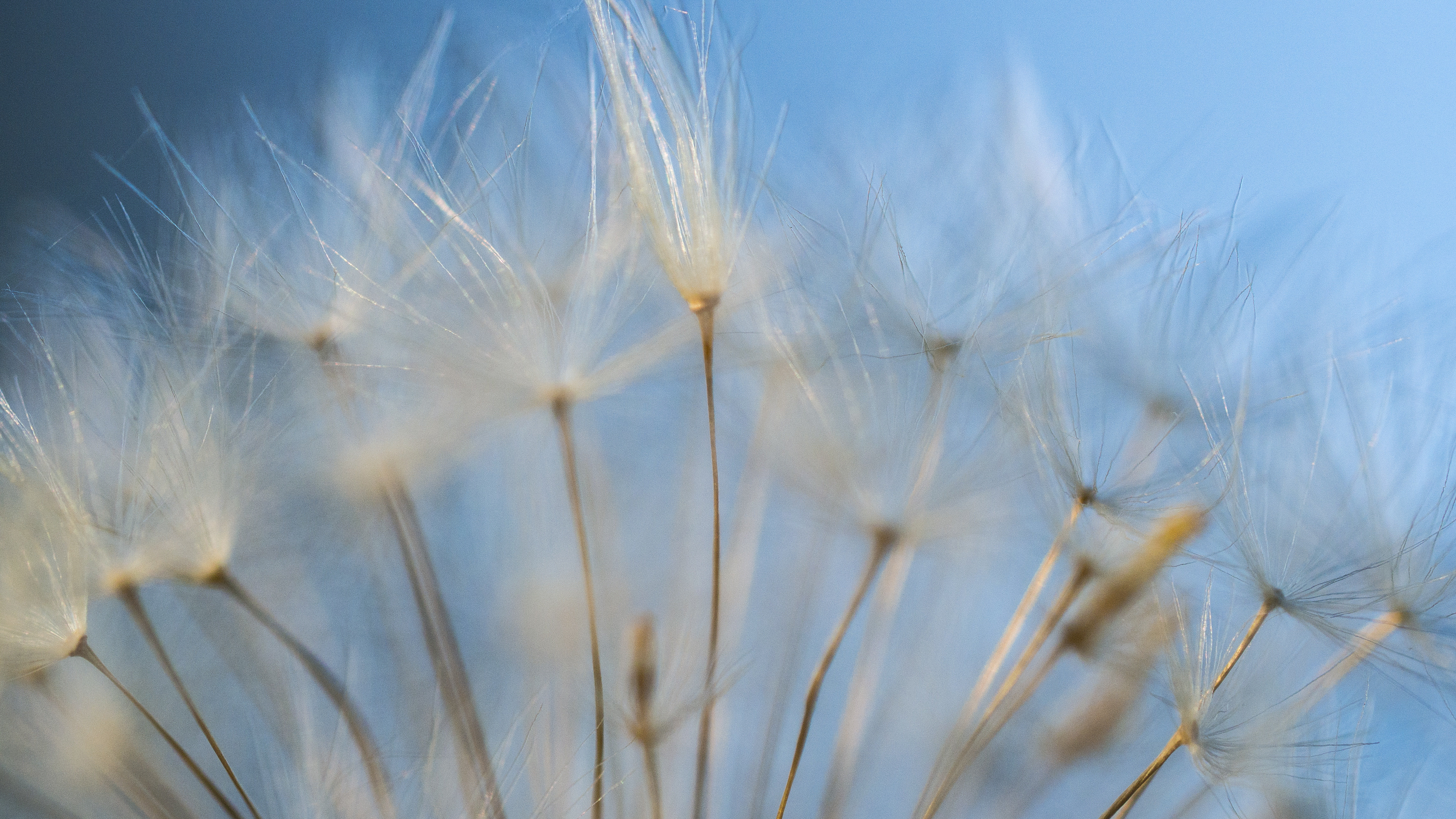 milasta-pct-68216033e0a10-1