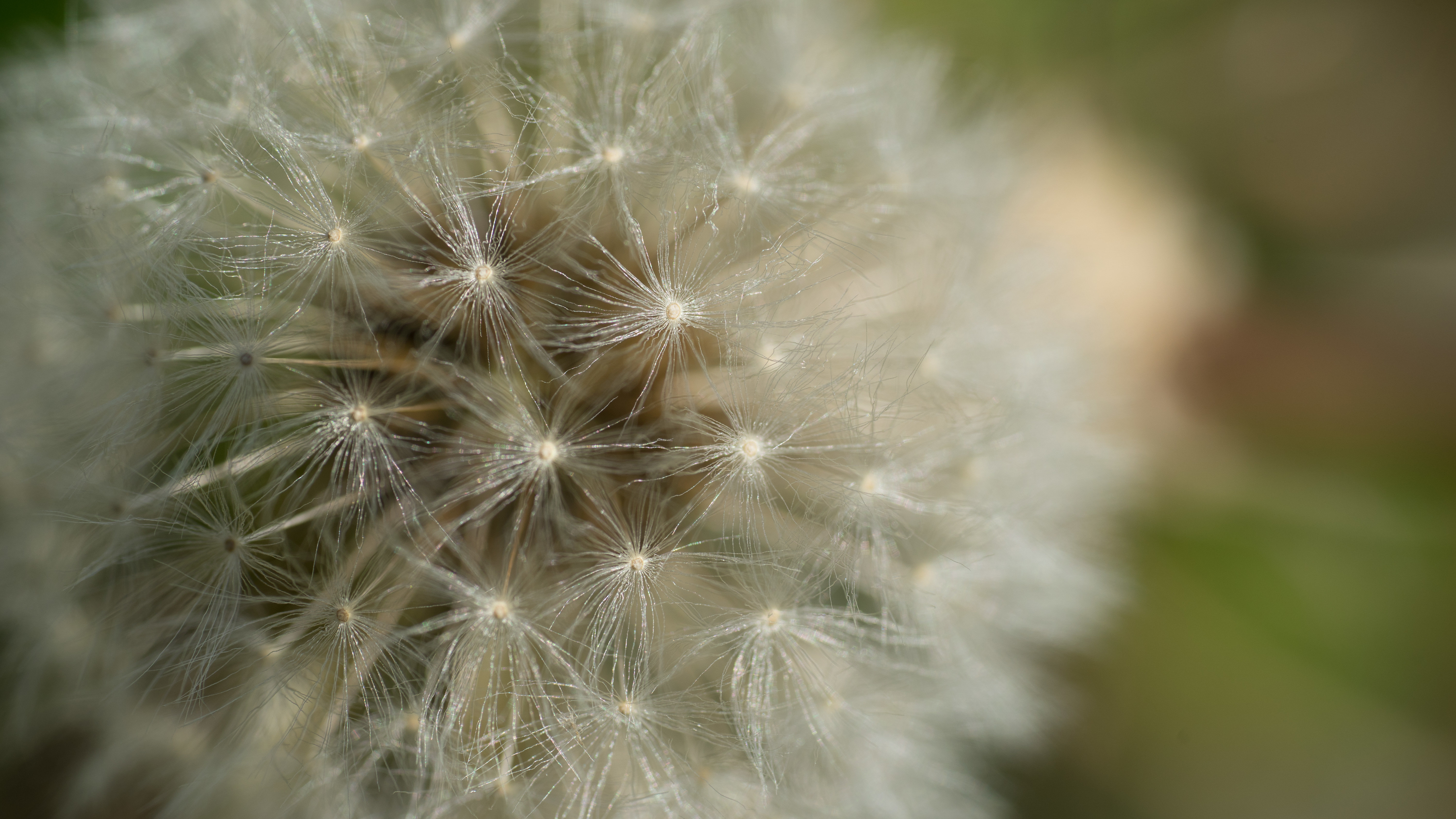 milasta-pct-68216033e0a10-3