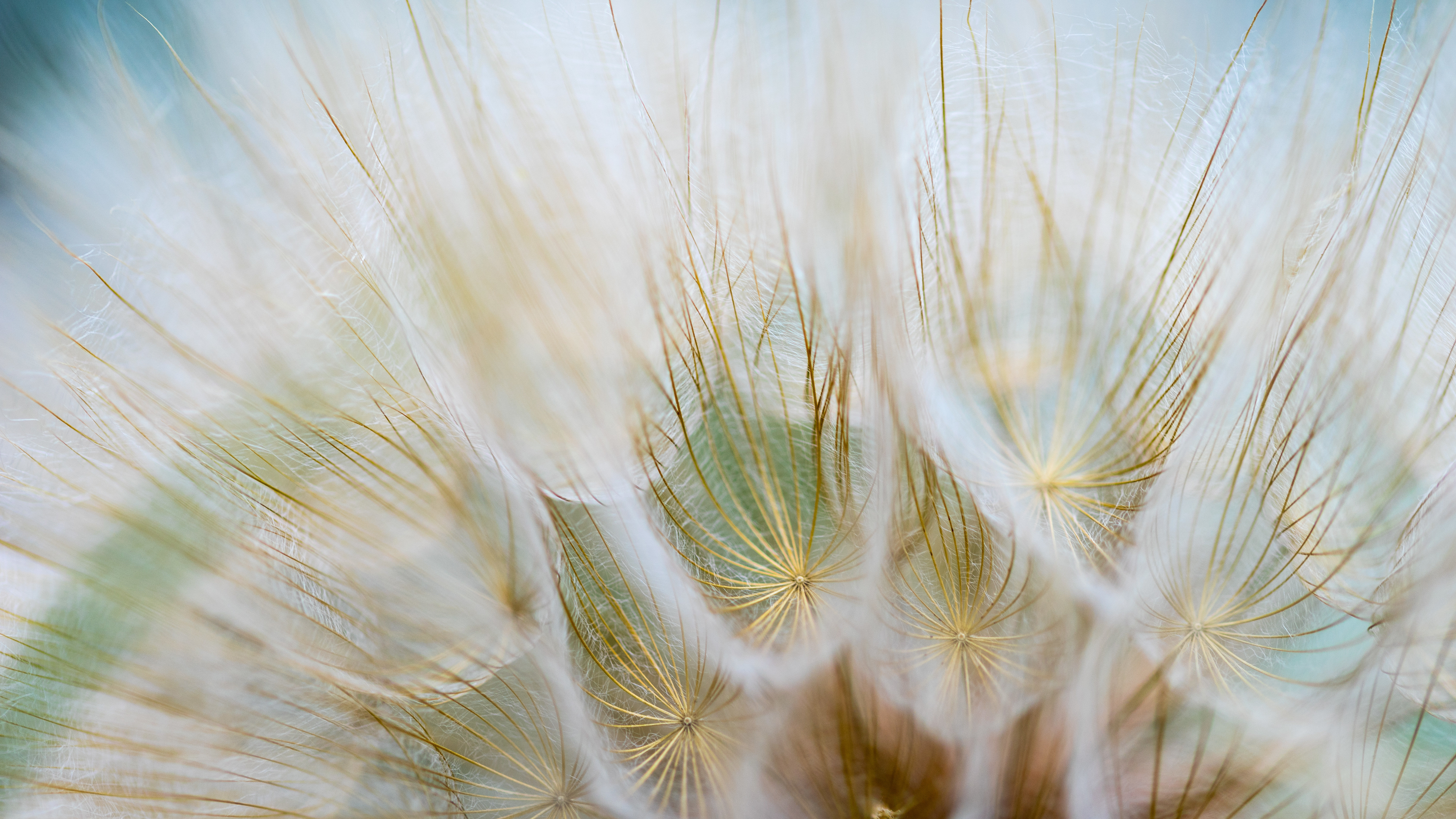 milasta-pct-68216033e0a10-10