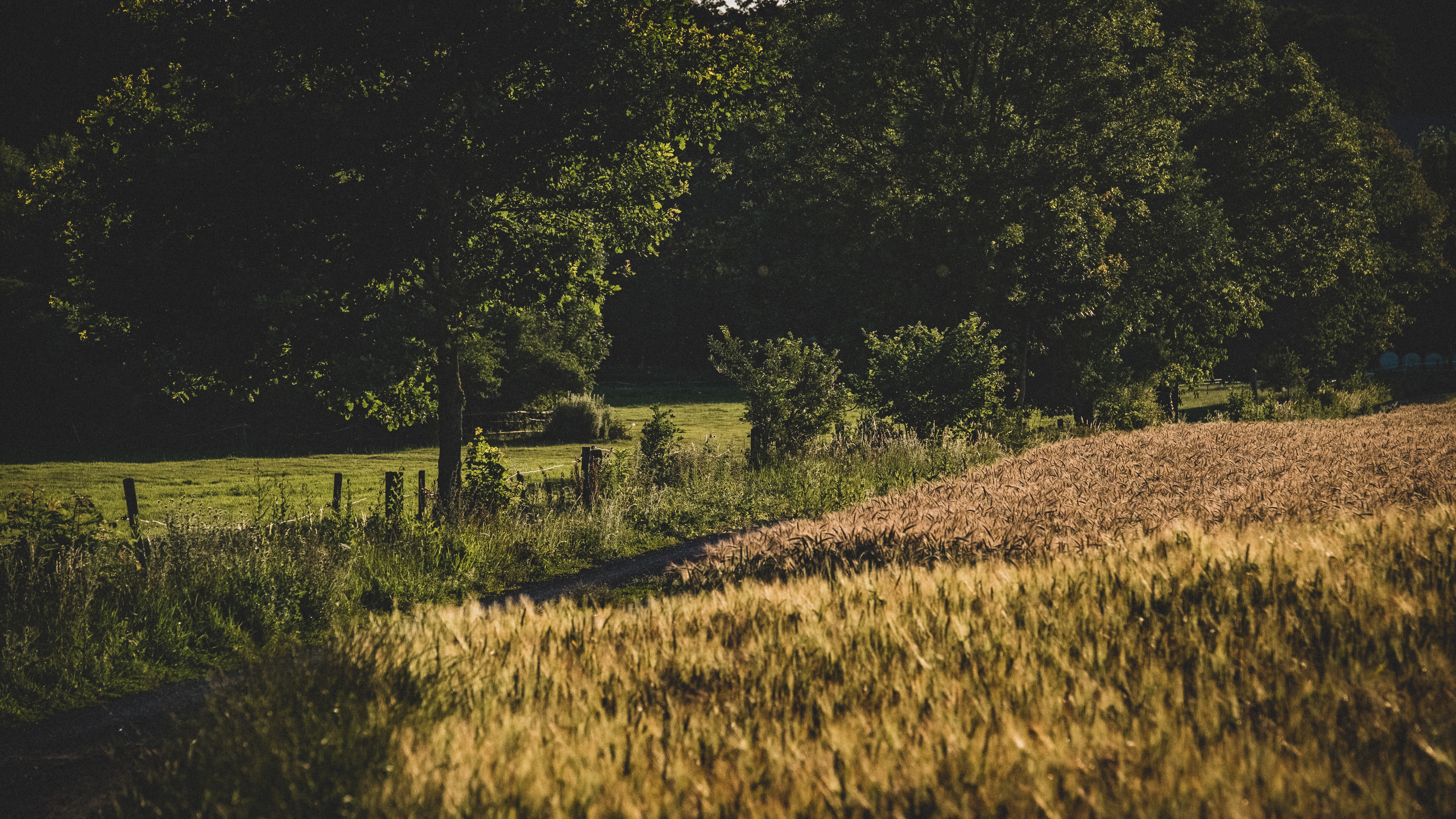 milasta-pct-682160347b0e5-5