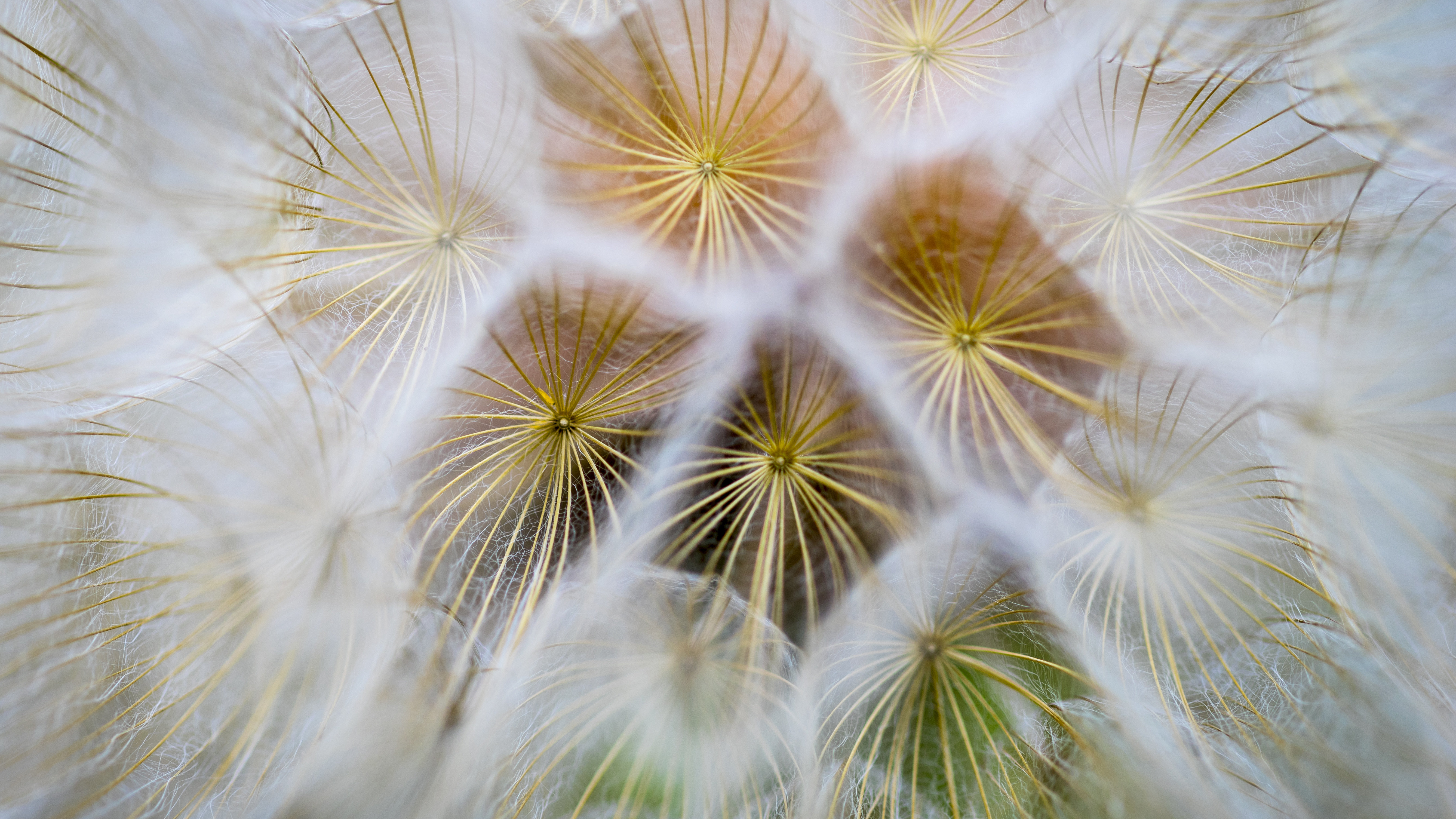 milasta-pct-68216033e0a10-2