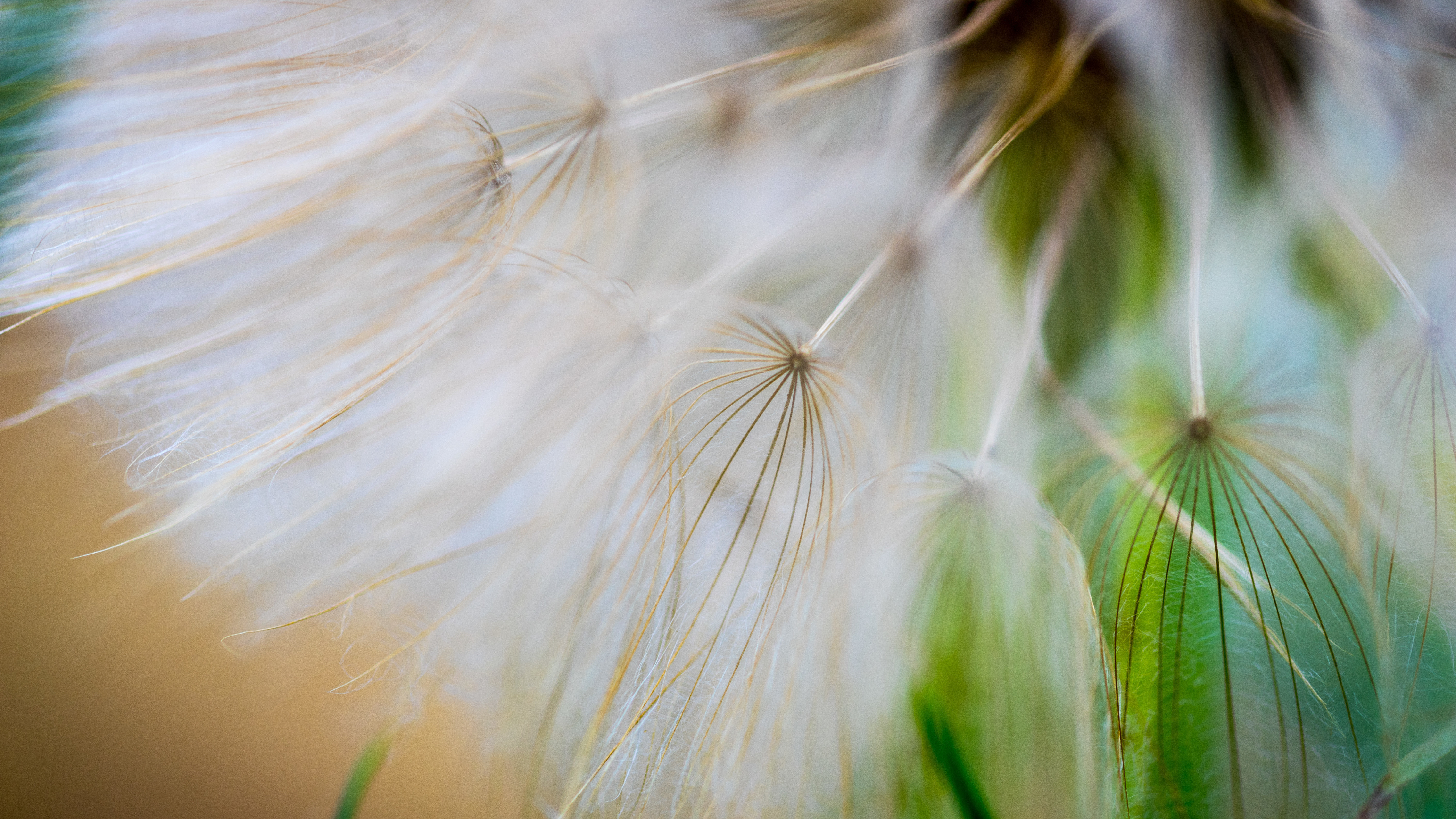 milasta-pct-68216033e0a10-6
